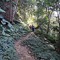 DSCN7489.JPG