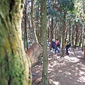 DSCN7512.JPG