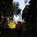 DSCN7517.JPG