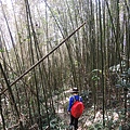 DSCN7538.JPG