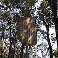 DSCN7549.JPG
