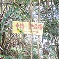 DSCN7561.JPG