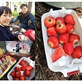 DSCN7565.JPG