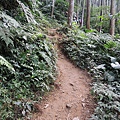 DSCN7591.JPG