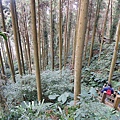 DSCN7592.JPG