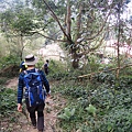 DSCN7597.JPG