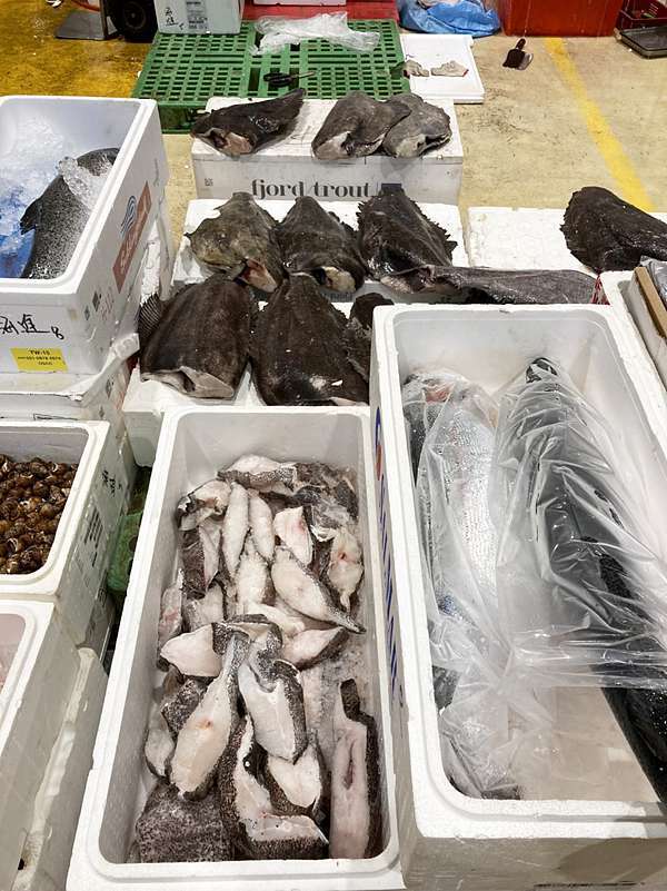 台中魚市場 早起買新鮮魚貨 哈漁碼頭 加菲的生活雜記 痞客邦