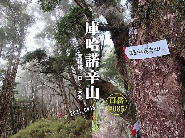 登山 南橫三星 庫哈諾辛山