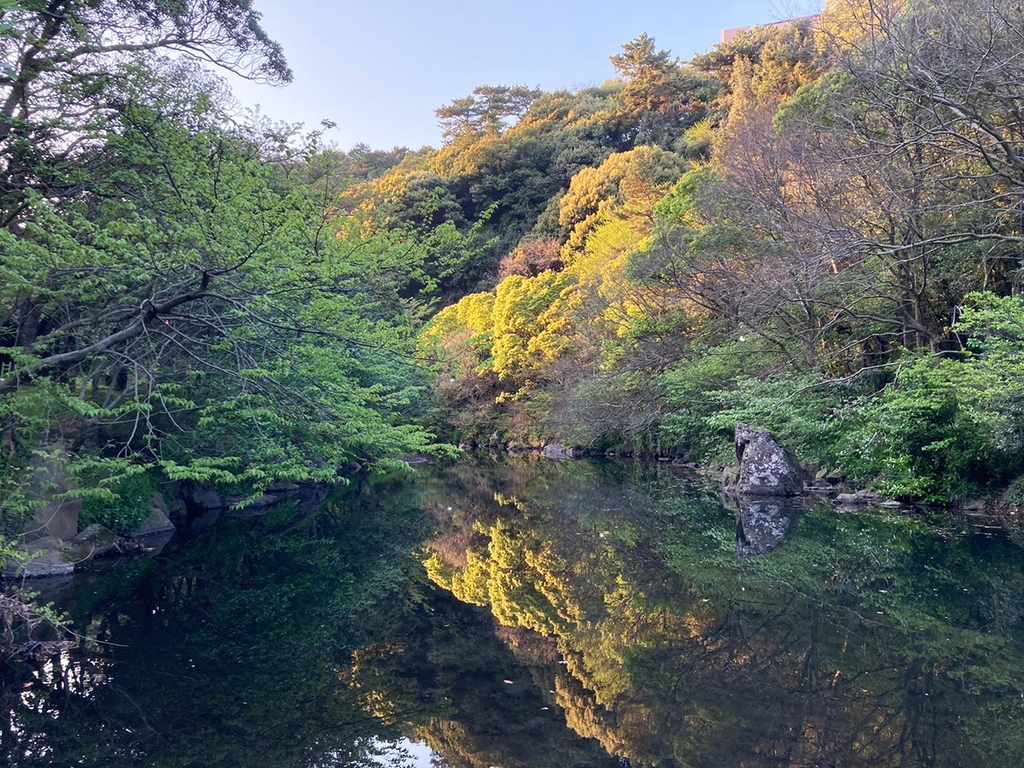 濟州島D1