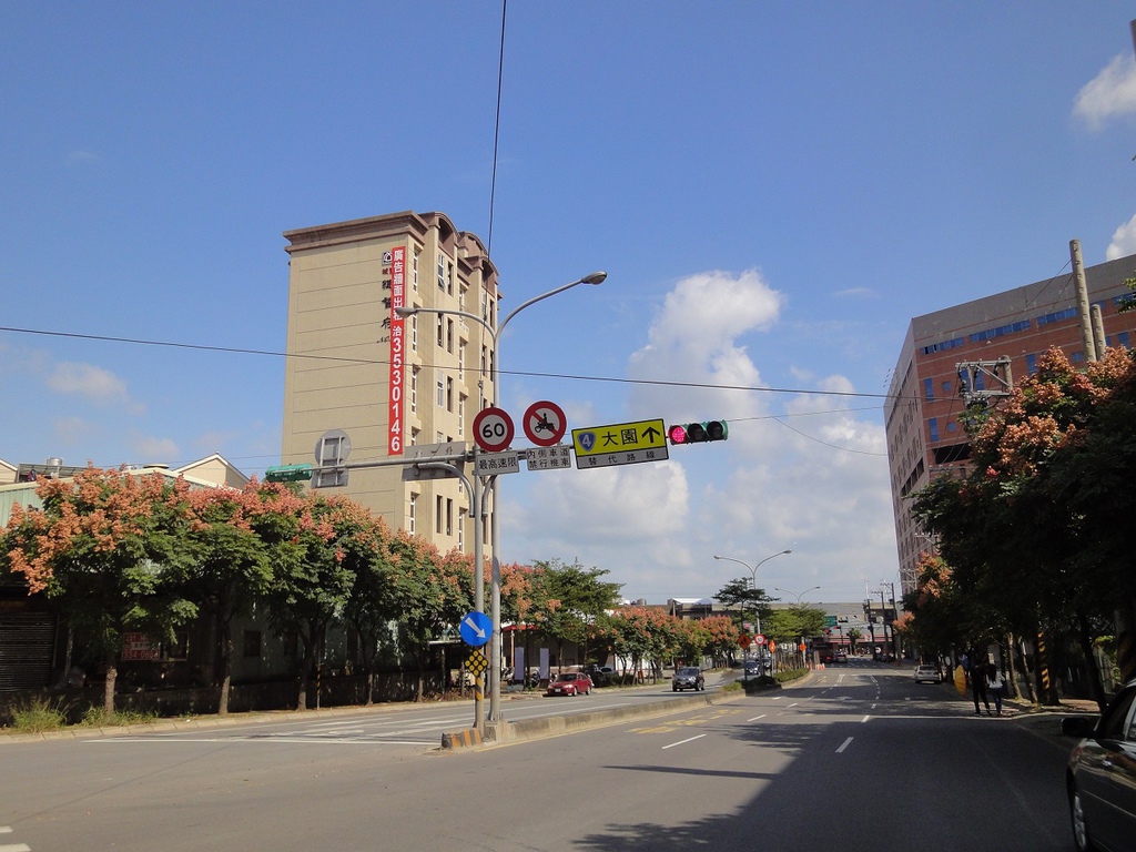 中正路路樹