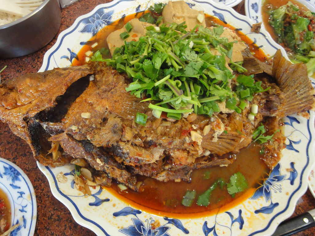 豆瓣鯉魚 豆瓣鯉魚