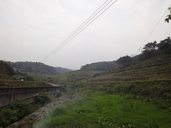 橫山梯田