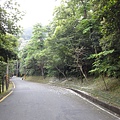 桐花公路