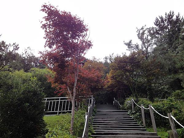 登山步道