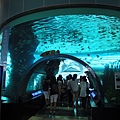 水族館