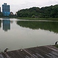 碧湖公園