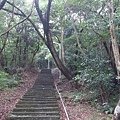 內湖親山步道