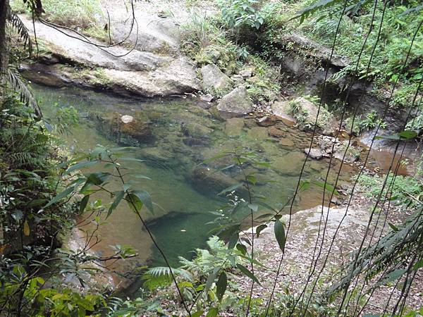 糯米橋下池水