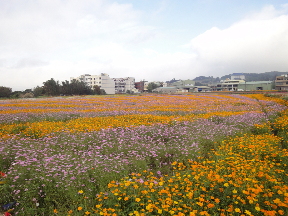 桃園市花彩節蘆竹場