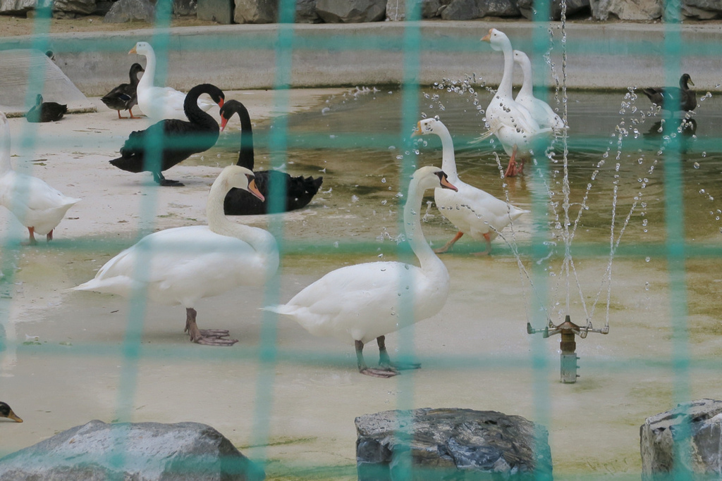 달성공원達城公園