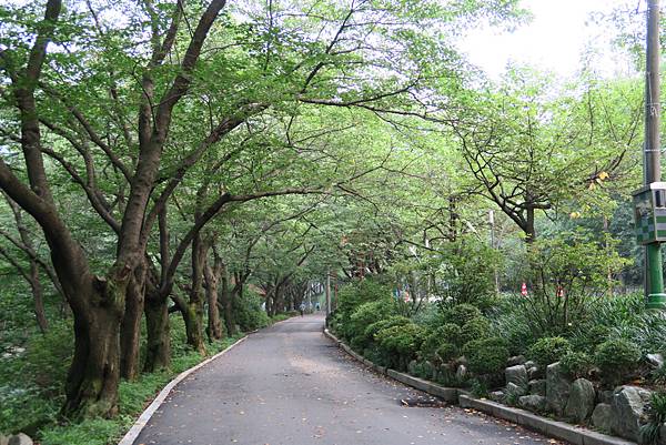 앞산공원前山公園