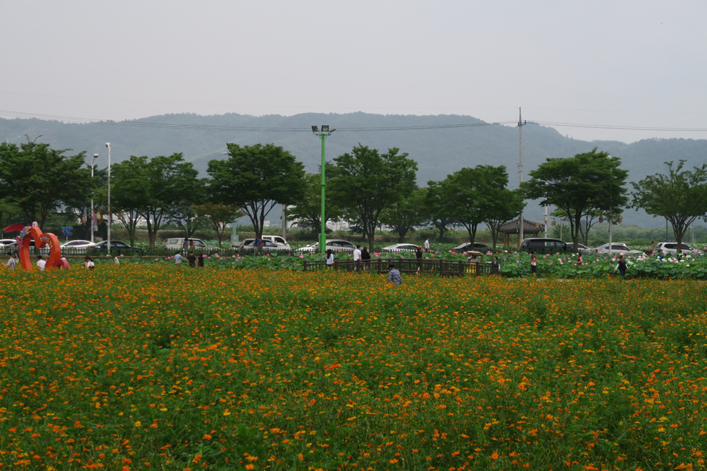 慶州歷史遺跡