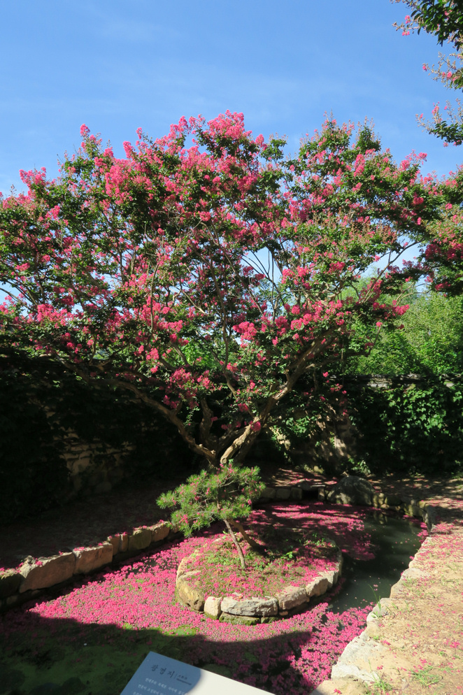 병산서원屏山書院