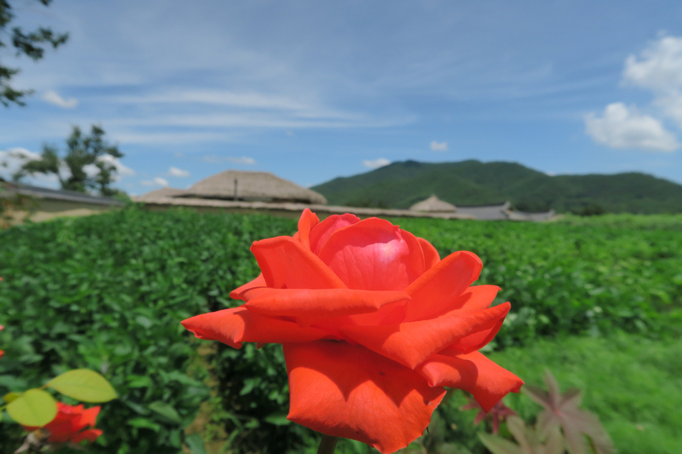 안동하회마을安東河回村