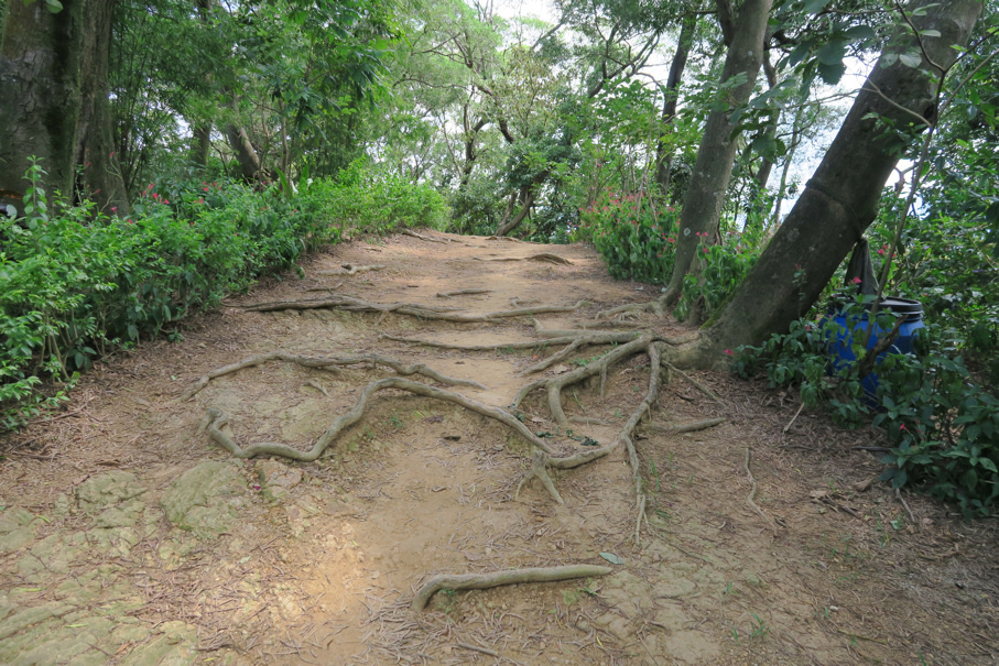 大同山