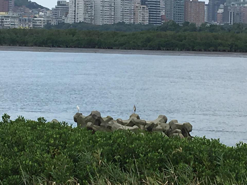 社子島濕地