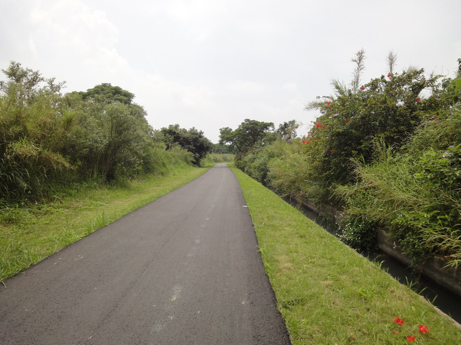 大鶯綠野景觀自行車道