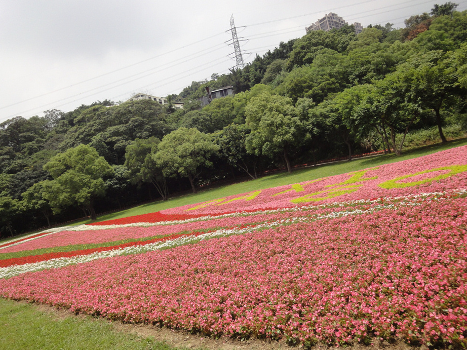 大溪河濱公園