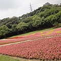 大溪河濱公園