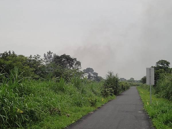 大鶯綠野景觀自行車道