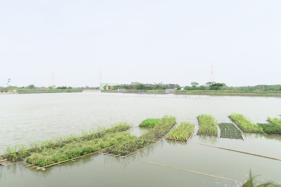 浮島花園