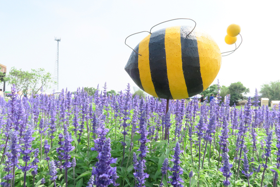 蜂樂園