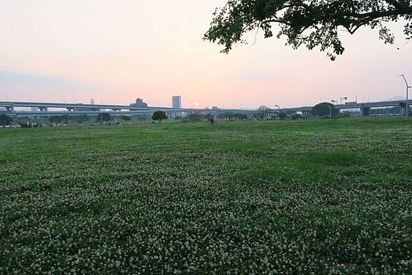 大台北都會公園