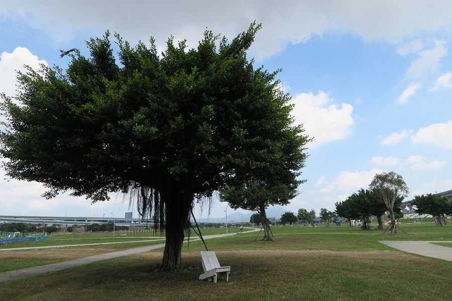 大台北都會公園