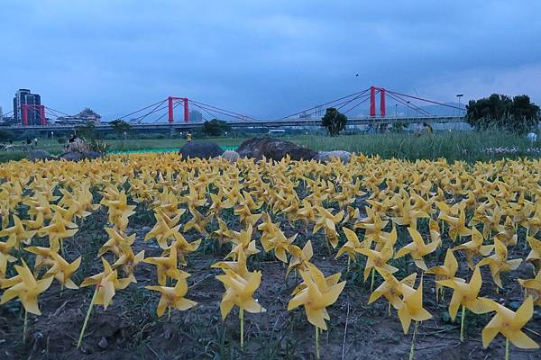 板橋蝴蝶公園風車花海