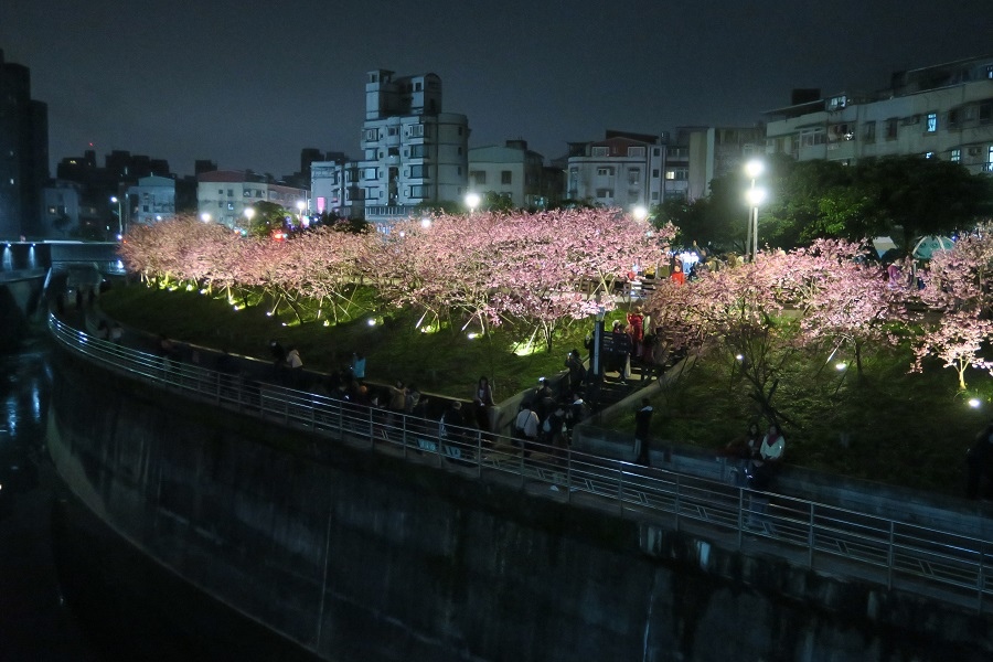 樂活夜櫻季