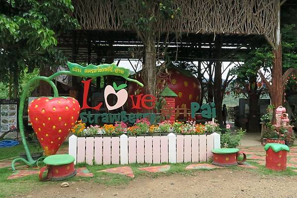 Love Strawberry Pai草莓園