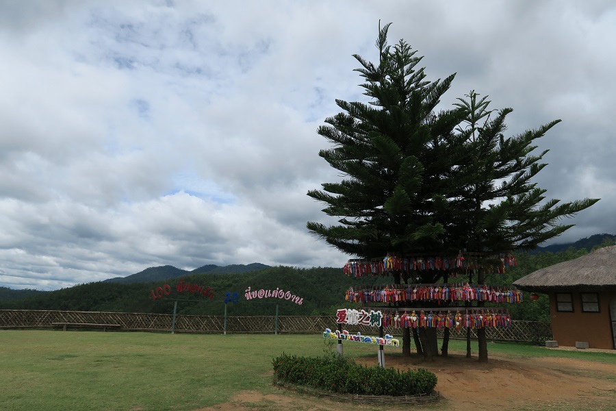 Yun Lai Viewpoint雲來觀景台