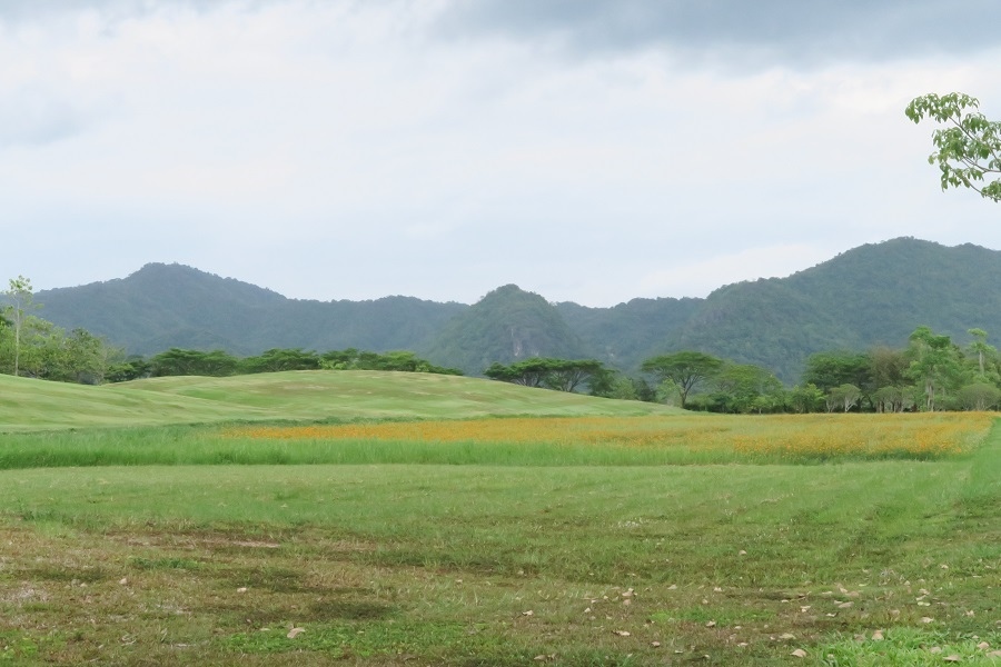 สิงห์ปาร์ค Singha Park辛哈公園