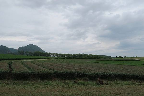 สิงห์ปาร์ค Singha Park辛哈公園