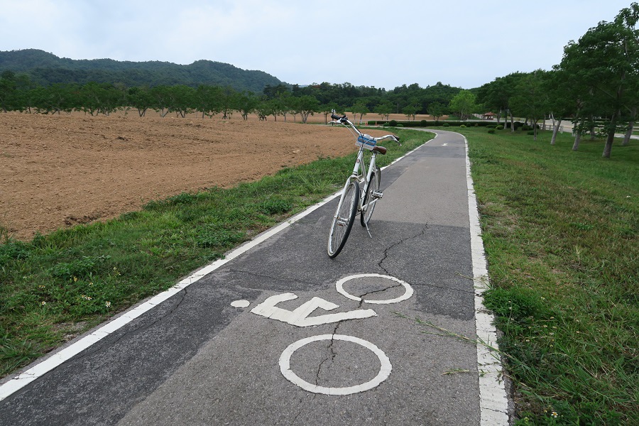 สิงห์ปาร์ค Singha Park辛哈公園