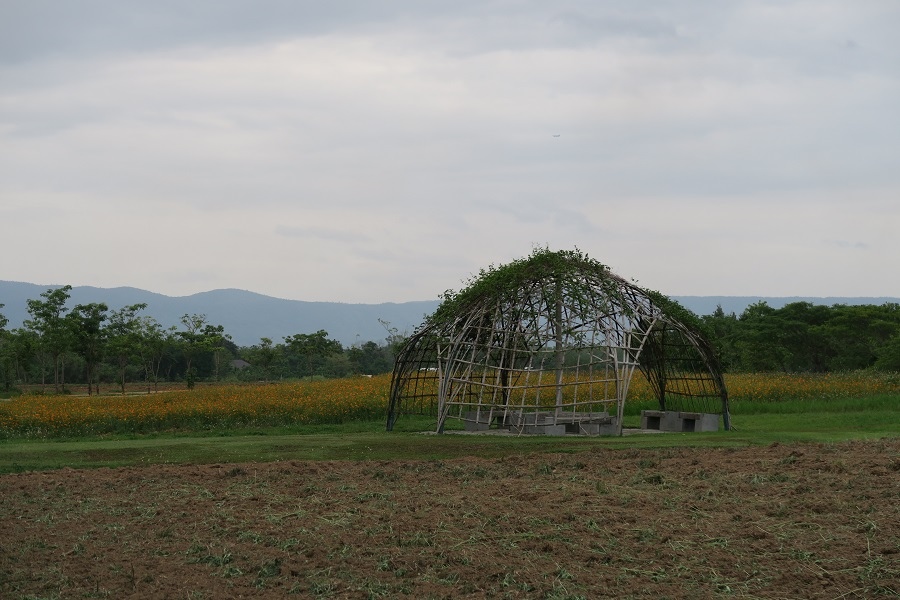 สิงห์ปาร์ค Singha Park辛哈公園