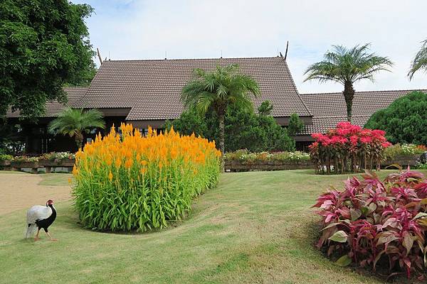 พระตำหนักดอยตุง สวนแม่ฟ้าหลวง Doi Tung Royal Villa