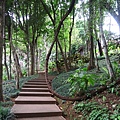 สวนรุกขชาติแม่ฟ้าหลวง Mae Fah Luang Garden皇太后花園