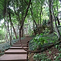 สวนรุกขชาติแม่ฟ้าหลวง Mae Fah Luang Garden皇太后花園