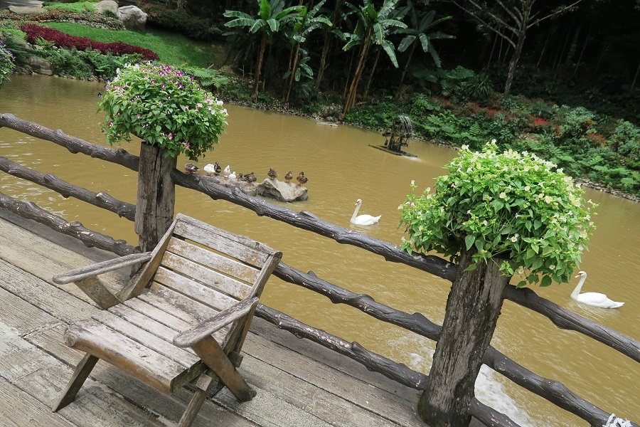 สวนรุกขชาติแม่ฟ้าหลวง Mae Fah Luang Garden皇太后花園